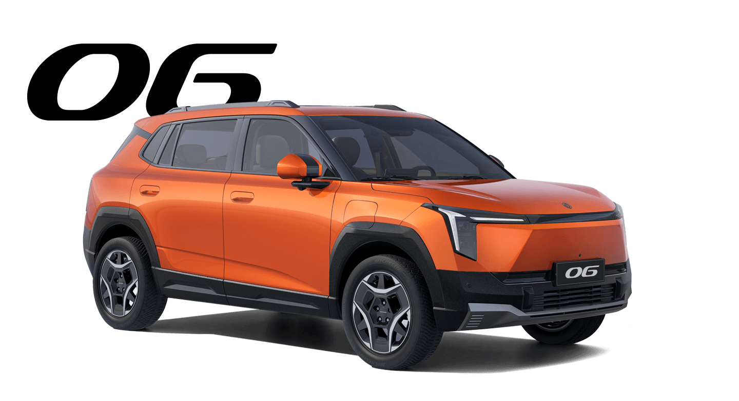 Dongfeng 06
